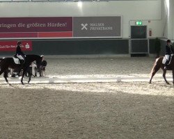 dressage horse Fleur de la Coeur 2 (Hanoverian, 2008, from Fidertanz)