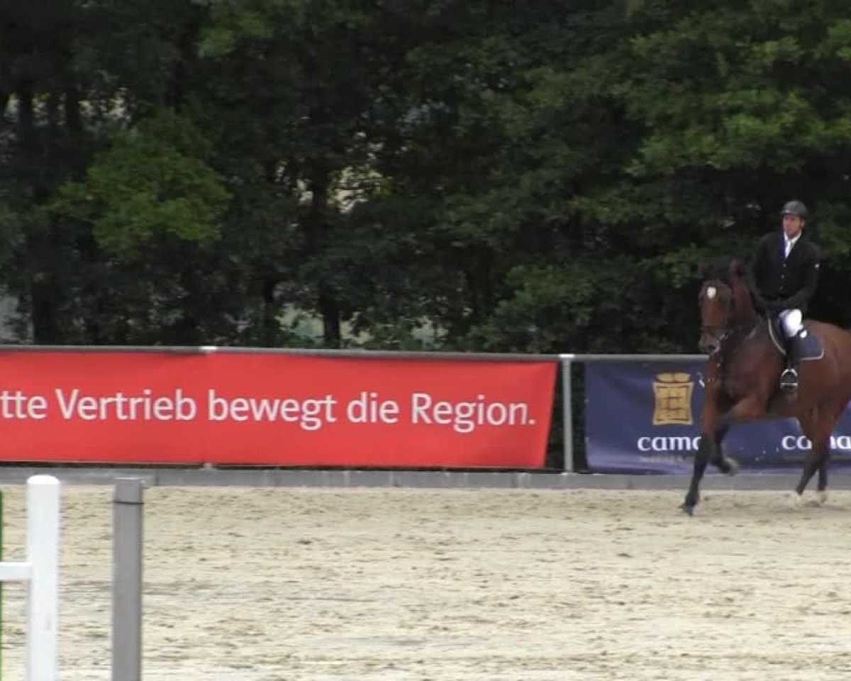 Cavallo da salto Conrad 92 (Holsteiner, 2007, di Con Air)