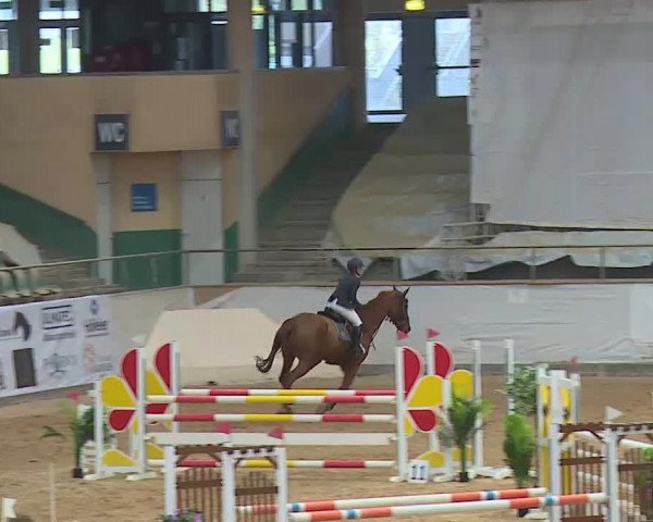 Reitturnier Kreuth/Opf. 2020