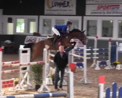 broodmare Qualita L (Rhinelander, 2007, from Quidam's Rubin)