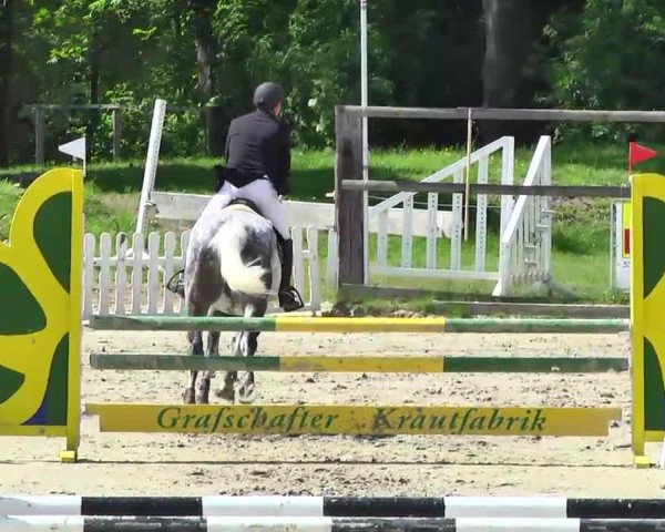 jumper Carouso 8 (Bavarian, 2007, from Lord Z)