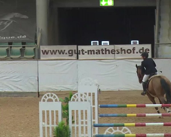 Reitturnier Kreuth/Opf. 2020