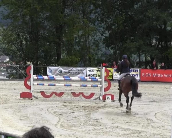 jumper Candy Man V (Holsteiner, 2008, from Corrado I)