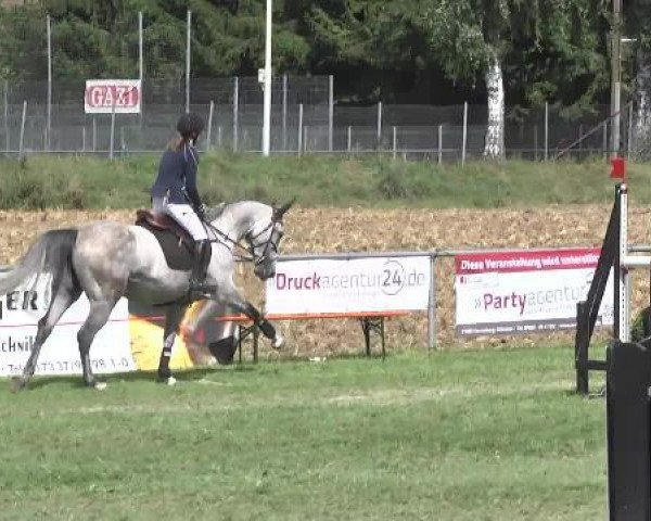 broodmare Fatima CE (Holsteiner, 2008, from For Pleasure)