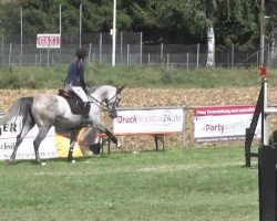 Zuchtstute Fatima CE (Holsteiner, 2008, von For Pleasure)
