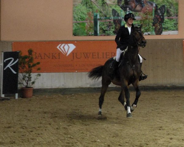 Reitturnier Gut Winkelacker/Obb. 2020