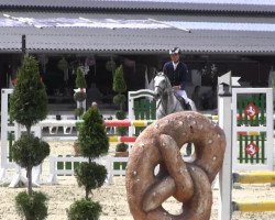 jumper Casimiro 2 (Mexican Riding Horse, 2007, from VDL Cardento 933)