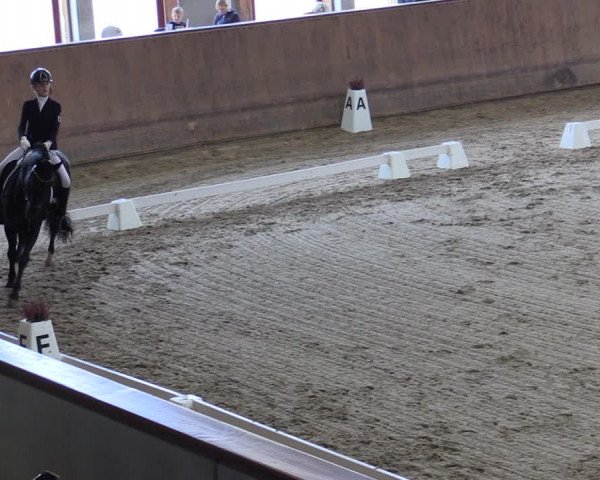 Reitturnier Prussendorf 2020