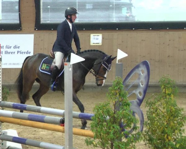 Reitturnier Gut Winkelacker/Obb. 2020