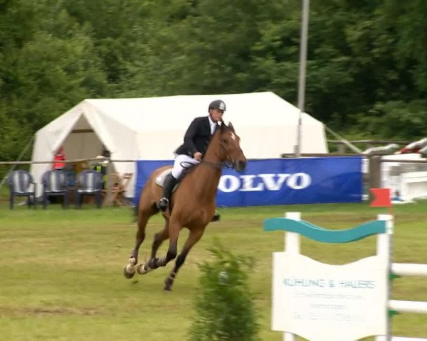 jumper Chogori (Hanoverian, 2007, from Catoki)