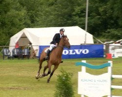 Springpferd Chogori (Hannoveraner, 2007, von Catoki)