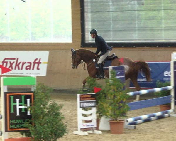 Reitturnier Gut Winkelacker/Obb. 2020