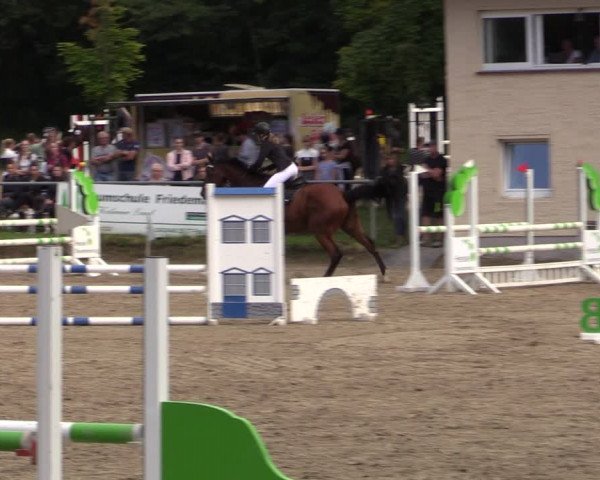 Reitturnier Lgl.-Oberhain, B95 2021