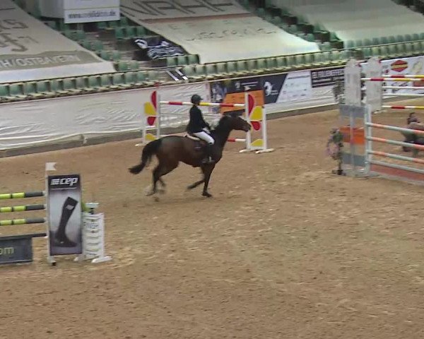 Reitturnier Kreuth/Opf. 2020