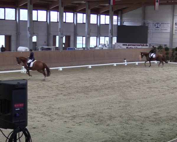 Reitturnier Prussendorf 2020