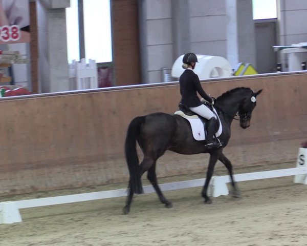 Reitturnier Prussendorf 2020