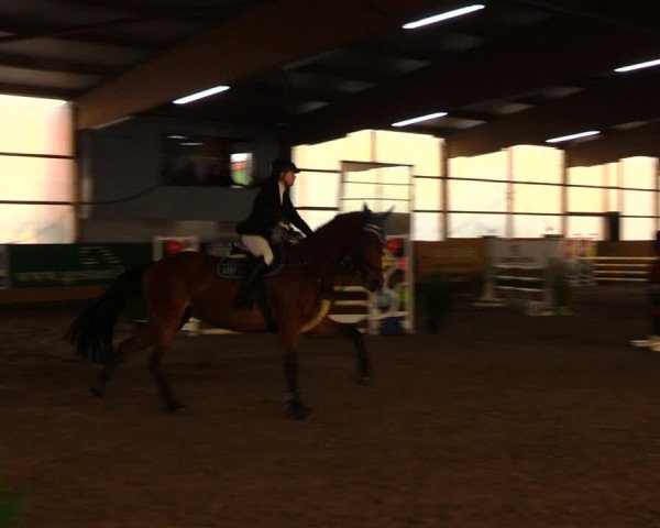 Reitturnier Pausin 2020
