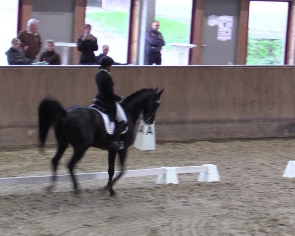 Reitturnier Prussendorf 2020