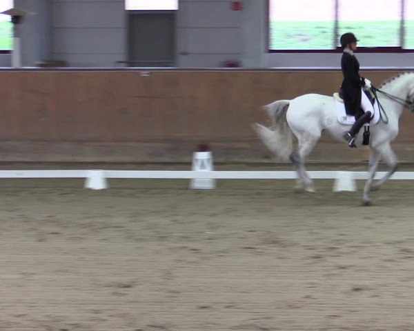 Reitturnier Prussendorf 2020