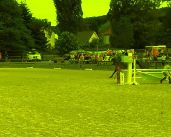 jumper Polaris SI (Westphalian, 2007, from Piano II)