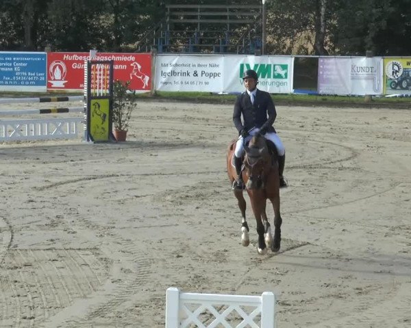 jumper Biscaya 56 (Holsteiner, 2009, from Cancara)