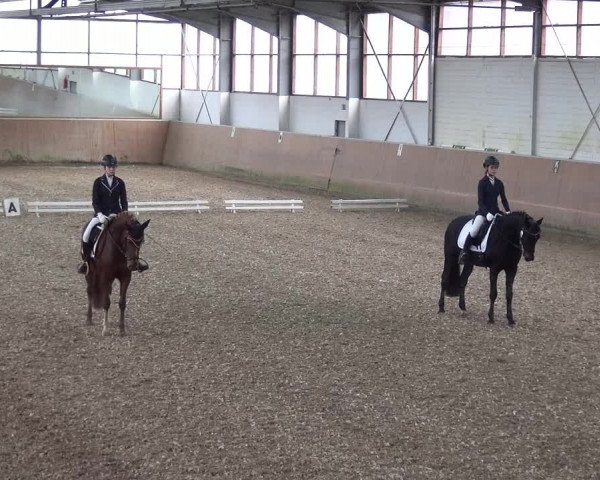 Reitturnier Leichlingen 2020