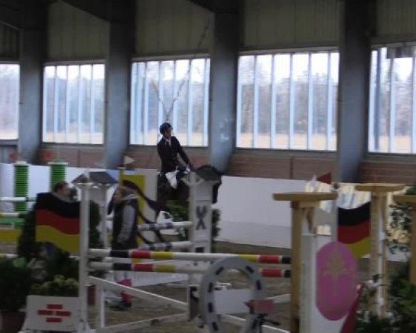 jumper Captain Prausitz (Westphalian, 2009, from Captain Fire)