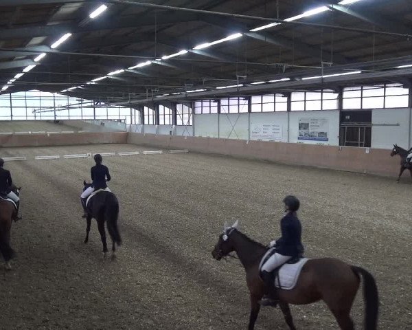 Reitturnier Leichlingen 2020