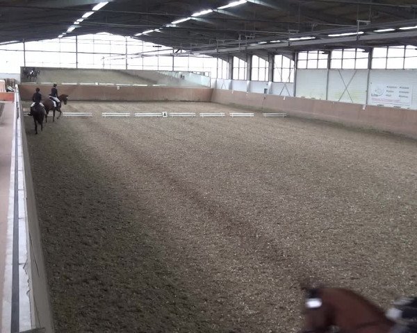 Reitturnier Leichlingen 2020