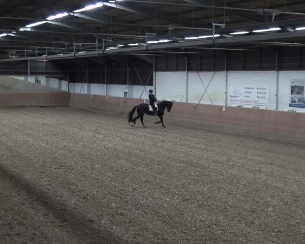 Reitturnier Leichlingen 2020
