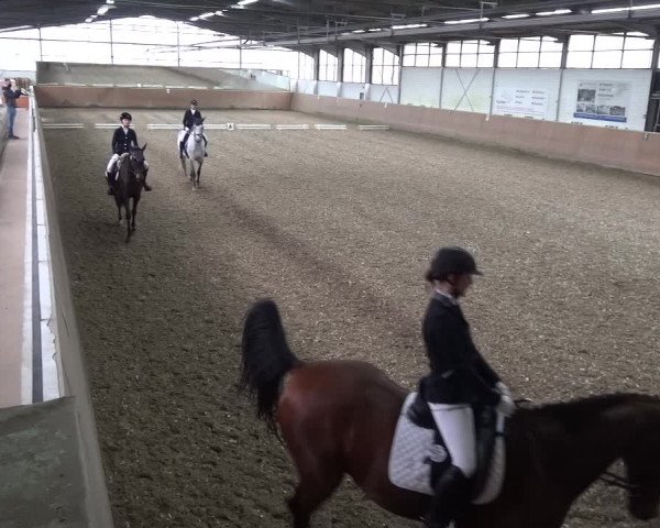 Reitturnier Leichlingen 2020