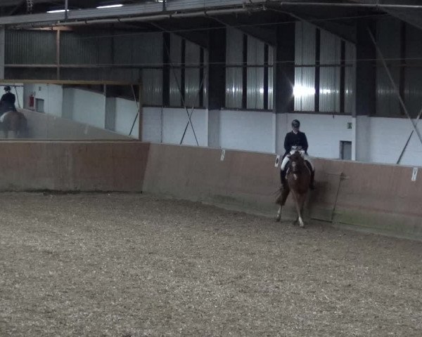 Reitturnier Leichlingen 2020