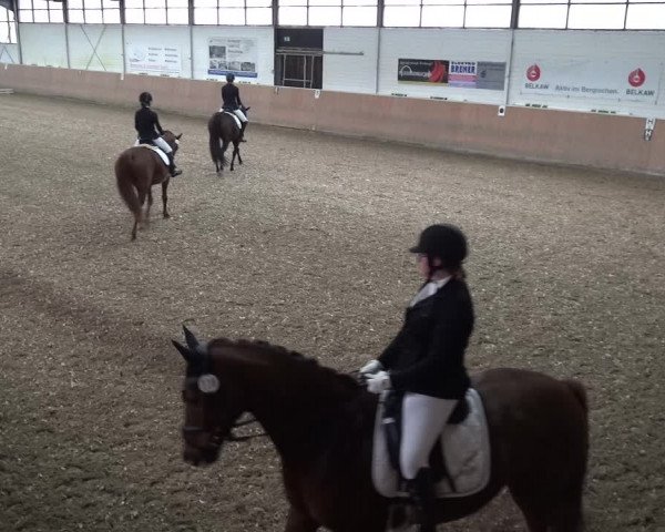 Reitturnier Leichlingen 2020