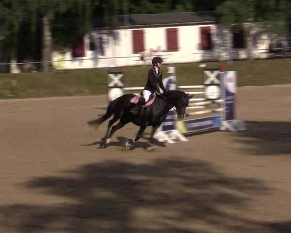Reitturnier Lgl.-Oberhain, B95 2021
