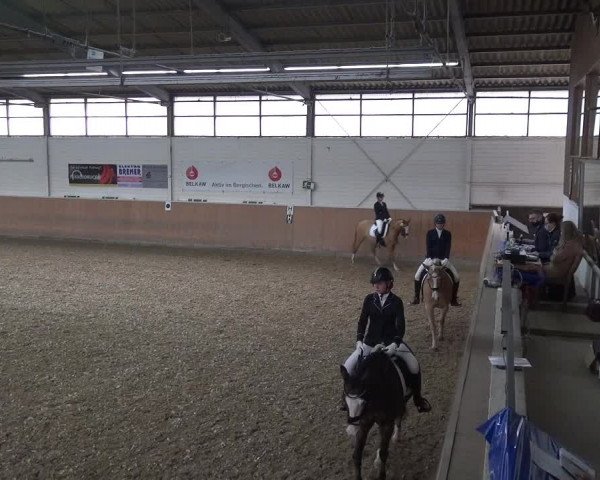 Reitturnier Leichlingen 2020