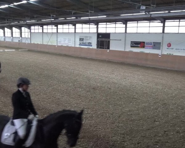 Reitturnier Leichlingen 2020