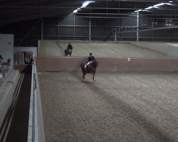 Reitturnier Leichlingen 2020