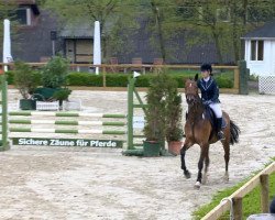 jumper Calandra 18 (Oldenburg, 2009, from Catoki)