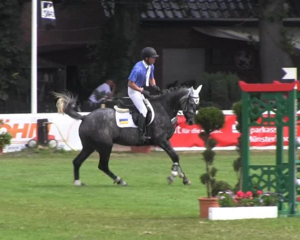 Zuchtstute Cumana 3 (Westfale, 2008, von Cumano)