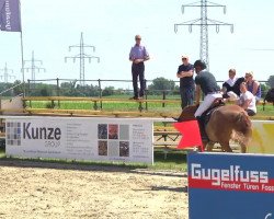 jumper Cedrik (Württemberger, 2009, from Ciacomo)