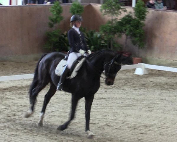 Reitturnier Prussendorf 2020