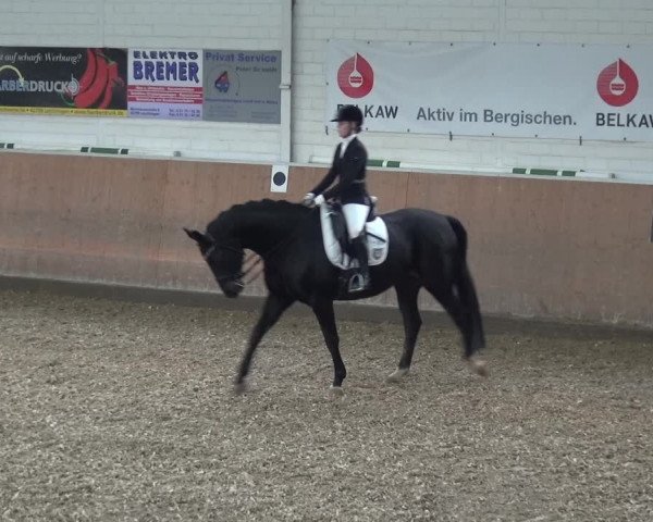 Reitturnier Leichlingen 2020