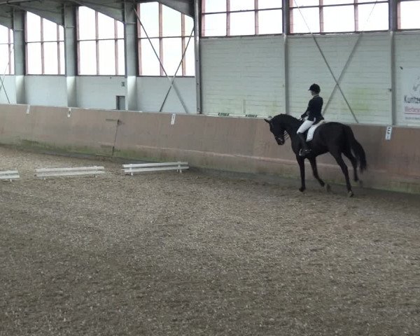 Reitturnier Leichlingen 2020