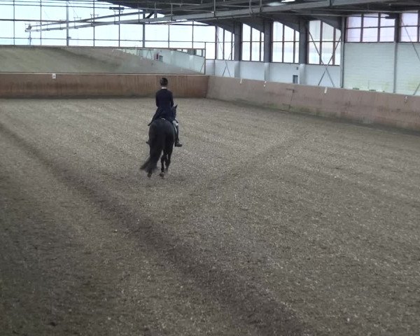 Reitturnier Leichlingen 2020