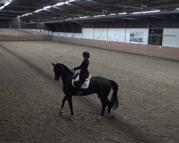 Reitturnier Leichlingen 2020
