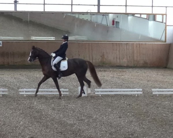 Reitturnier Leichlingen 2020