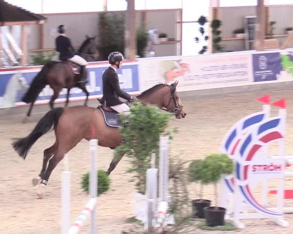 Reitturnier Negernbötel 2020, 2. Nordic Jumping event 2020/2021
