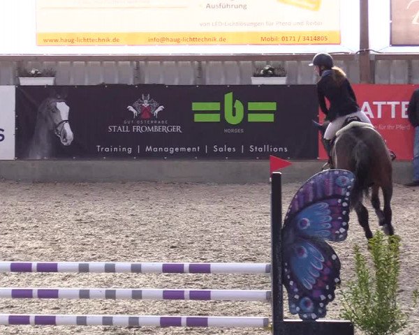 Reitturnier Negernbötel 2020, 2. Nordic Jumping event 2020/2021