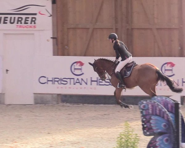 Reitturnier Negernbötel 2020, 2. Nordic Jumping event 2020/2021