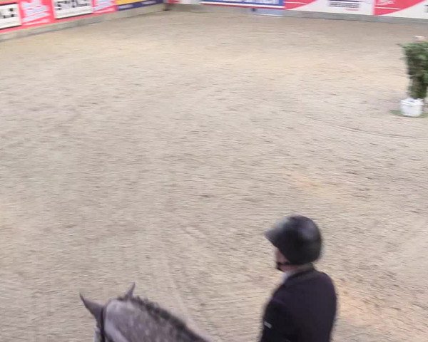 Reitturnier Negernbötel 2020, 2. Nordic Jumping event 2020/2021